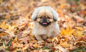 広島のagaクリニックに関する口コミはどうなっているの？