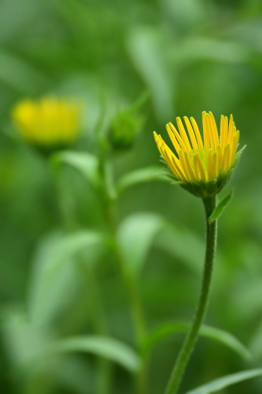 産後の抜け毛を改善するための薬はどれが効果的？