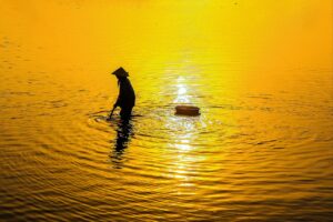 フィナステリドの効果を他の治療法と比較するとどうなる？