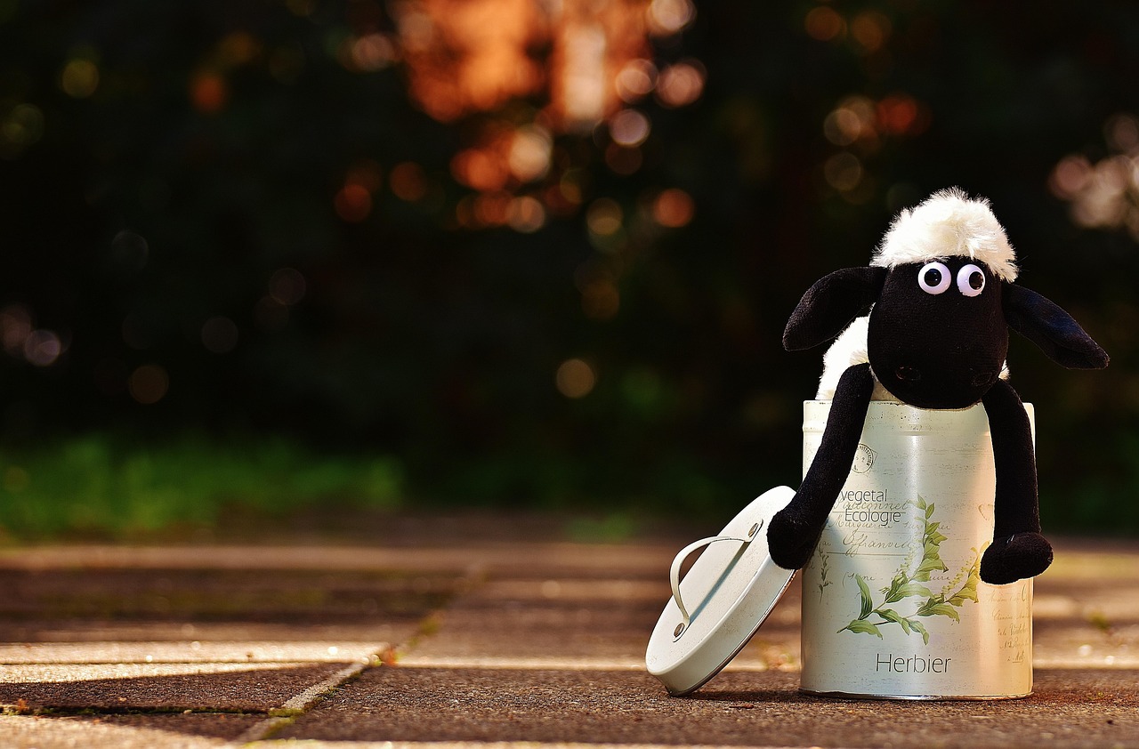 薄毛治療の口コミで信用できる情報はどこにある？