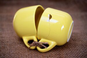 薄毛治療を比較する信頼できるサイトはどこですか？