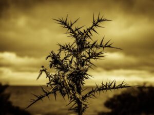 頭皮注射の痛みを軽減するための対策は？