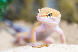 やめたら抜け毛が減る？気になる原因と対策とは？