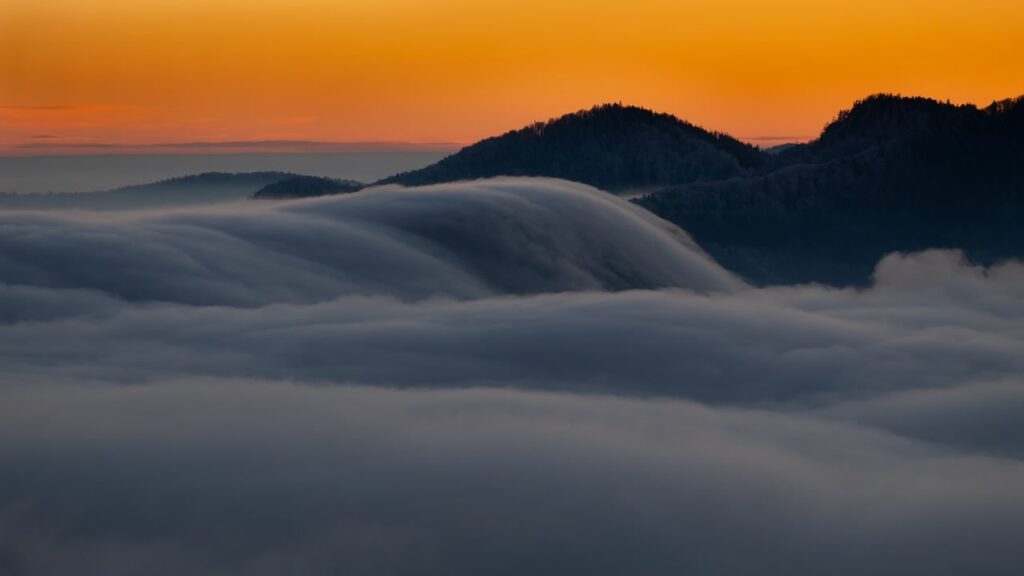 価格の差はなぜ生じるのか、その理由を解説しますか？