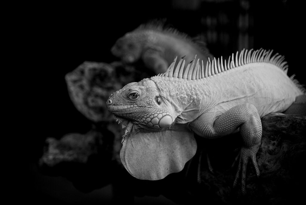 専門医が在籍する病院の選び方は？