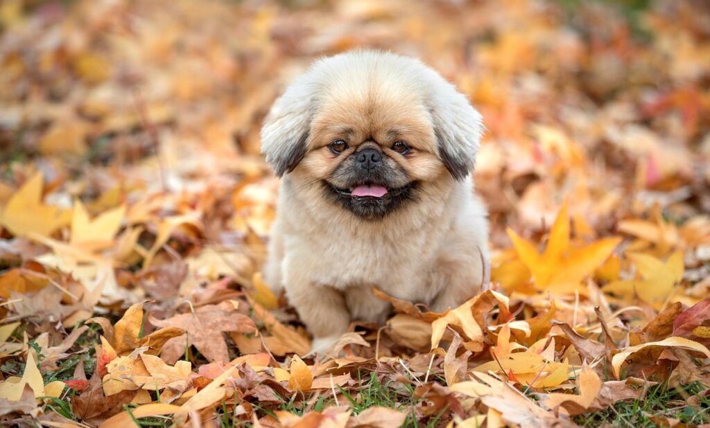 産後の薄毛に悩むあなたへ、効果的な対策は？