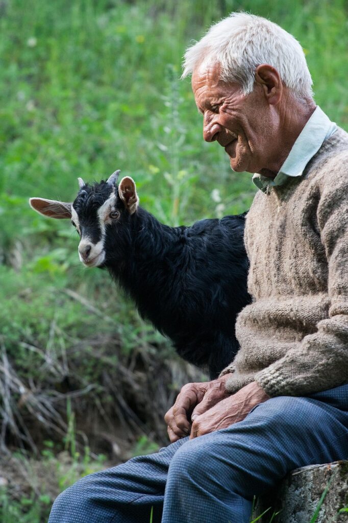 白髪対策に効果的なサプリはどれですか？