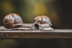 育毛サプリを継続するためのポイントは？