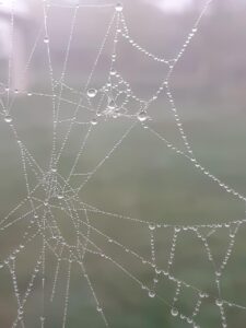 発毛クリニックのWEB予約はどのように行うの？
