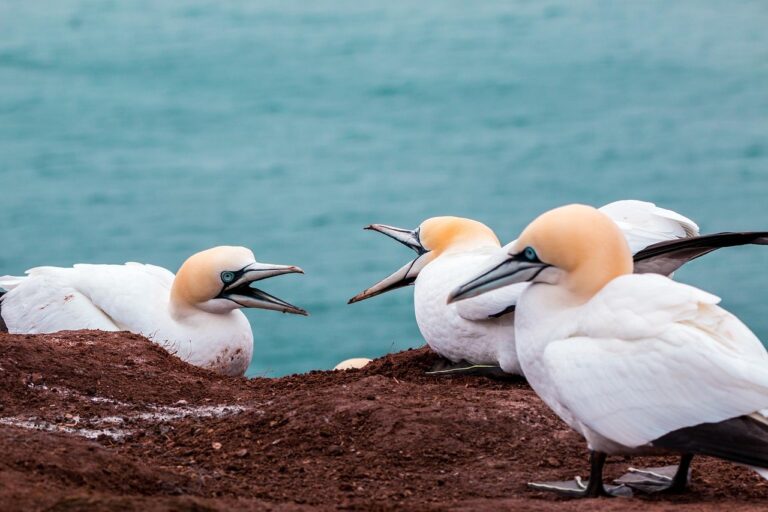 トラブルの実態とは？知っておくべき真実と対策はこれだ！
