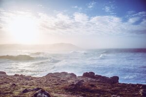 薄毛治療で実績が多いクリニックはどこ？