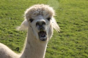 AGAクリニックの初回カウンセリングで何を聞かれるのか知りたい？