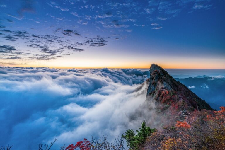 薄毛治療は地方でも効果的？あなたに合った方法を徹底解説！